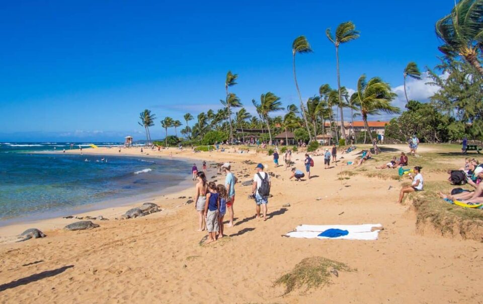 Beach Hop Along the South Shore