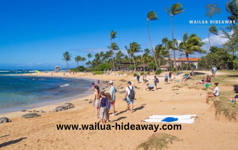 wailua hideaway - Island Vacation Rentals in Hawaii