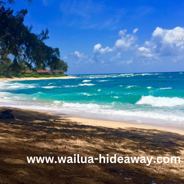 vacation rentals in kapaa