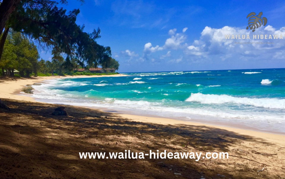 vacation rentals in kapaa